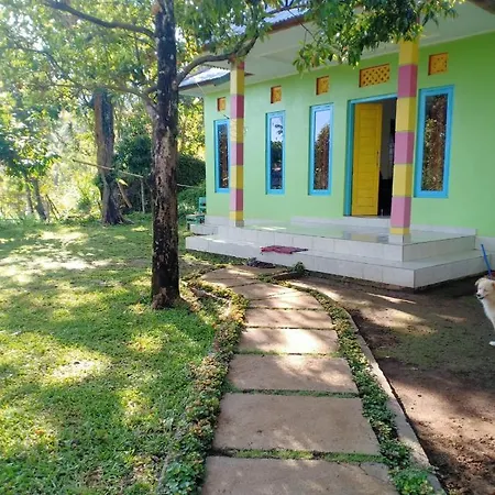 Sekumpul Local House Bed & Breakfast